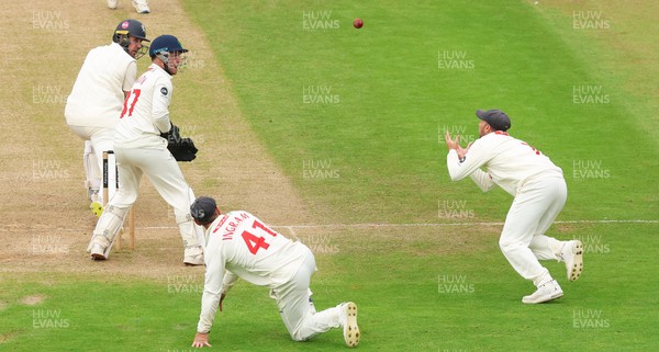 240725  Glamorgan v Kent, Rothesay County Championship Division 2, Day 3 - Billy Root of Glamorgan catches Matt Quinn of Kent off the bowling of Kiran Carlson of Glamorgan
