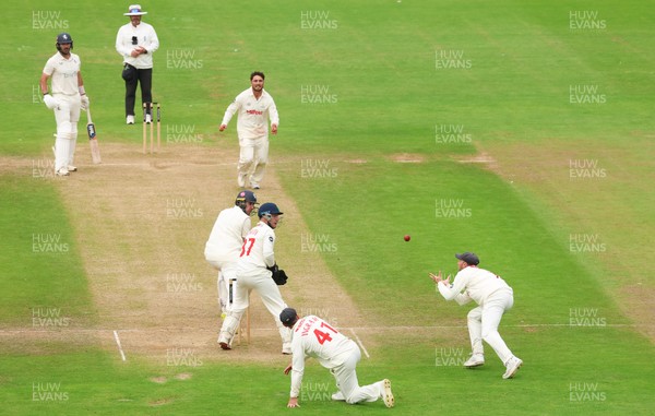 240725  Glamorgan v Kent, Rothesay County Championship Division 2, Day 3 - Billy Root of Glamorgan catches Matt Quinn of Kent off the bowling of Kiran Carlson of Glamorgan