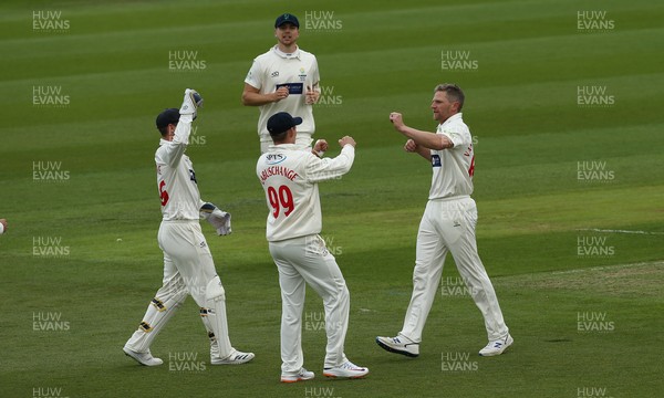 290421 Glamorgan v Kent, LV= County Championship, Group Three - Timm van der Gugten of Glamorgan celebrates after taking the wicket of Daniel Bell-Drummond of Kent
