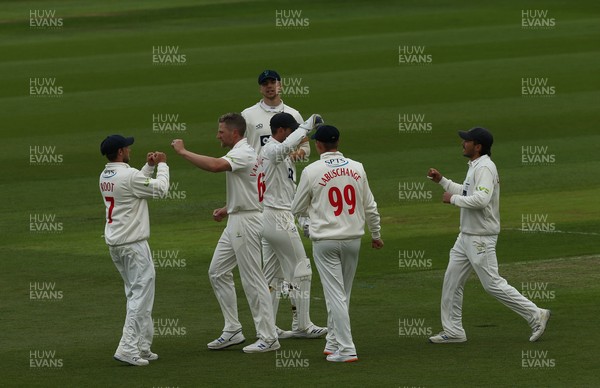 290421 Glamorgan v Kent, LV= County Championship, Group Three - Timm van der Gugten of Glamorgan celebrates after taking the wicket of Daniel Bell-Drummond of Kent
