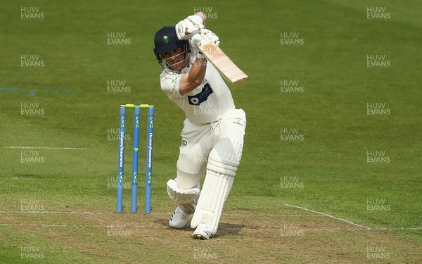 290421 Glamorgan v Kent, LV= County Championship, Group Three - David Lloyd of Glamorgan plays a shot during Glamorgan's first innings