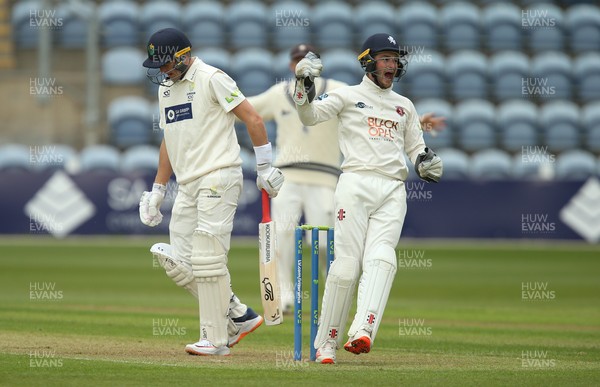 290421 Glamorgan v Kent, LV= County Championship, Group Three - Ollie Robinson of Kent celebrates as Marnus Labuschagne of Glamorgan is given out lbw off the bowling of Darren Stevens