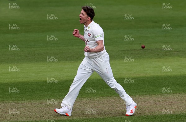 300421 - Glamorgan v Kent - LV= County Championship - Matthew Milnes of Kent celebrates bowls Billy Root out for LBW