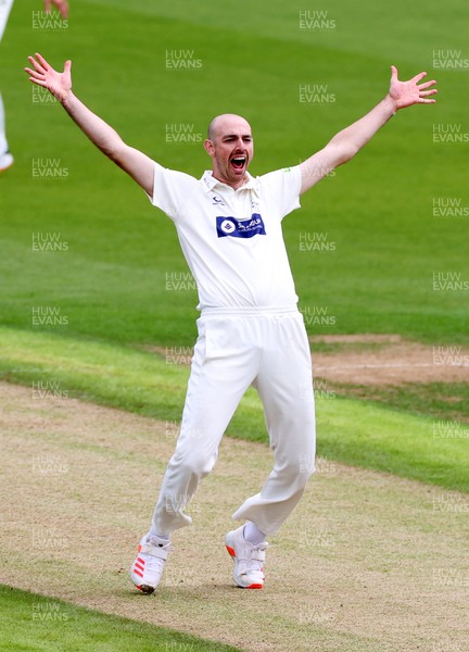 030621 - Glamorgan v Lancashire - LV= County Championship - James Weighell of Glamorgan celebrates after bowling out Luke Wells for LBW
