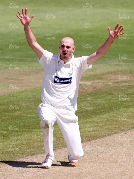 040621 - Glamorgan v Lancashire - LV= County Championship - James Weighell of Glamorgan appeals for a wicket