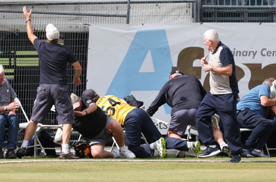 170822 - Glamorgan v Lancashire, Royal London One Day Cup - Tom Cullen of Glamorgan crashes into spectators as he attempts to catch a ball heading for a six