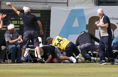 170822 - Glamorgan v Lancashire, Royal London One Day Cup - Tom Cullen of Glamorgan crashes into spectators as he attempts to catch a ball heading for a six