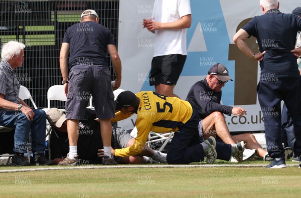 170822 - Glamorgan v Lancashire, Royal London One Day Cup - Tom Cullen of Glamorgan crashes into spectators as he attempts to catch a ball heading for a six