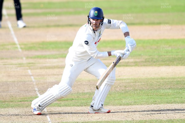 240925 - Glamorgan v Lancashire - Rothesay County Championship - James Harris of Glamorgan batting