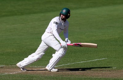 050425 - Glamorgan v Leicestershire - Rothesay County Championship Division 2 - Sol Budinger of Leicestershire batting