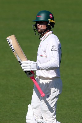 050425 - Glamorgan v Leicestershire - Rothesay County Championship Division 2 - Sol Budinger of Leicestershire acknowledges his half century