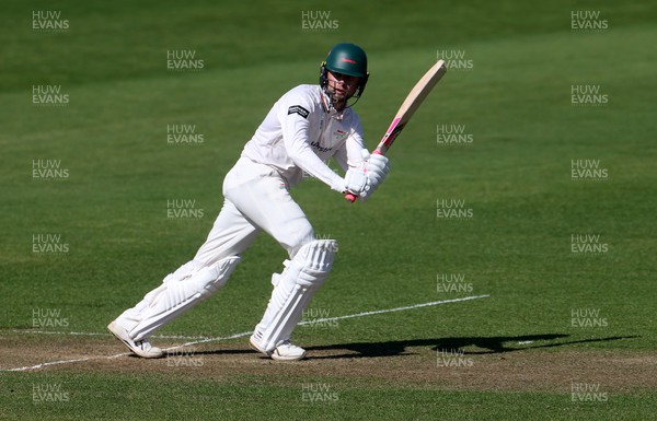 050425 - Glamorgan v Leicestershire - Rothesay County Championship Division 2 - Sol Budinger of Leicestershire batting