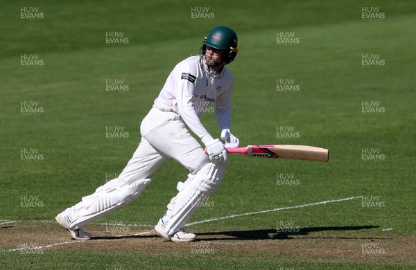 050425 - Glamorgan v Leicestershire - Rothesay County Championship Division 2 - Sol Budinger of Leicestershire batting