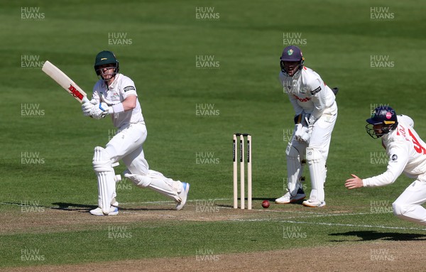 050425 - Glamorgan v Leicestershire - Rothesay County Championship Division 2 - Lewis Hill of Leicestershire batting