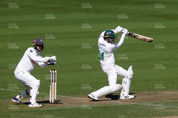 050425 - Glamorgan v Leicestershire - Rothesay County Championship Division 2 - Peter Handscomb of Leicestershire batting