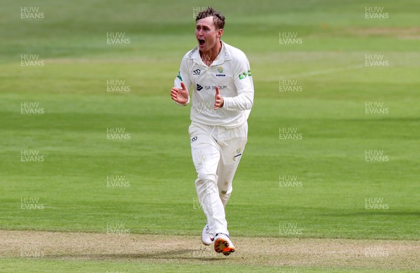 050522 - Glamorgan v Leicestershire - LV= County Championship - Division Two - Marnus Labuschagne of Glamorgan celebrates as Sam Evans is stumped by Chris Cooke of Glamorgan