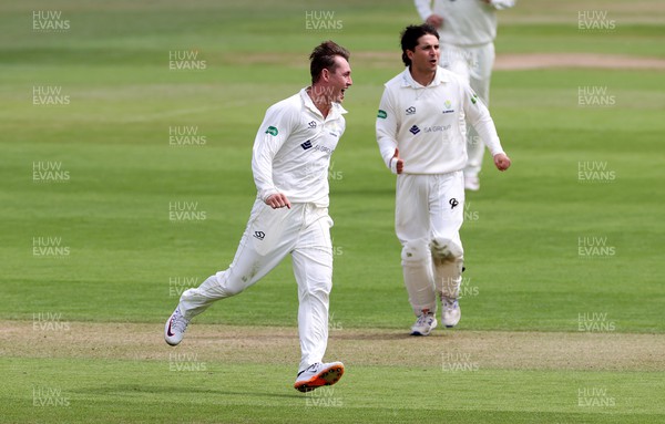050522 - Glamorgan v Leicestershire - LV= County Championship - Division Two - Marnus Labuschagne of Glamorgan celebrates as Sam Evans is stumped by Chris Cooke of Glamorgan