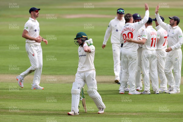 050522 - Glamorgan v Leicestershire - LV= County Championship - Division Two - Marnus Labuschagne of Glamorgan celebrates with team mates as Sam Evans is stumped by Chris Cooke of Glamorgan