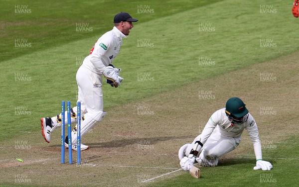 050522 - Glamorgan v Leicestershire - LV= County Championship - Division Two - Hassan Azad of Leicestershire is ran out by Sam Northeast as Chris Cooke celebrates
