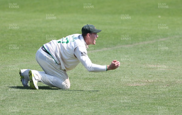 080522 - Glamorgan v Leicestershire, LV= County Championship Division 2 - Louis Kimber of Leicestershire dives to catch Marnus Labuschagne of Glamorgan