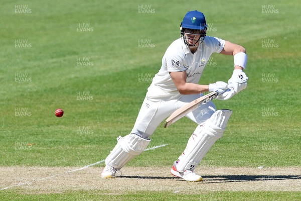 240426 - Glamorgan v Leicestershire - Rothesay County Championship - Asa Tribe of Glamorgan batting