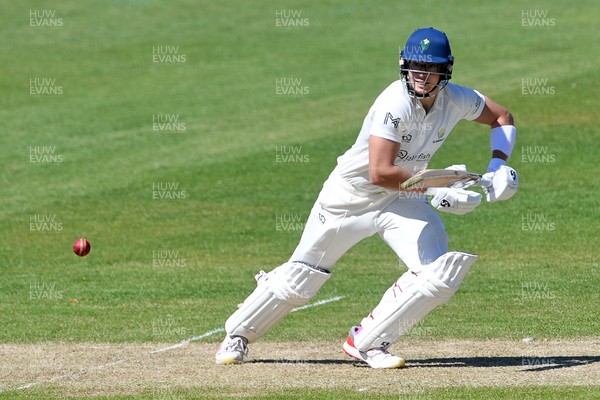 240426 - Glamorgan v Leicestershire - Rothesay County Championship - Asa Tribe of Glamorgan batting