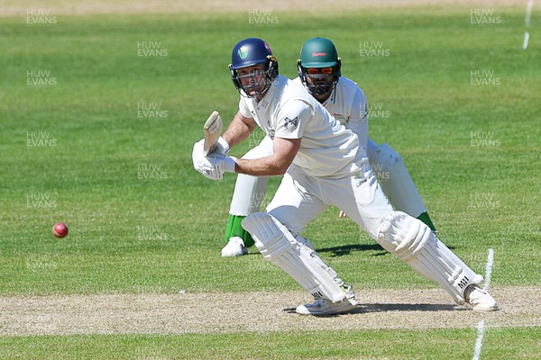 240426 - Glamorgan v Leicestershire - Rothesay County Championship - Colin Ingram of Glamorgan batting
