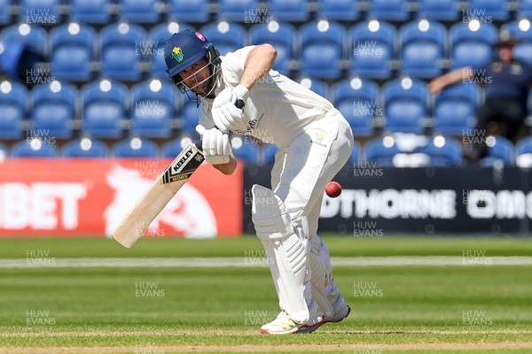 240426 - Glamorgan v Leicestershire - Rothesay County Championship - Sean Dickson of Glamorgan batting