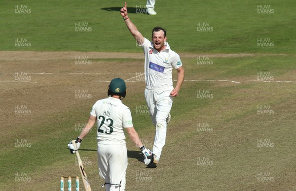 250918 - Glamorgan v Leicestershire, Supersavers County Championship Division 2 - Graham Wagg of Glamorgan celebrates after taking the wicket of Lewis Hill of Leicestershire