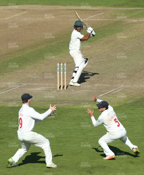 250918 - Glamorgan v Leicestershire, Supersavers County Championship Division 2 - Nick Selman of Glamorgan catches Ben Mike of Leicestershire