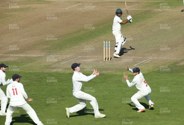 250918 - Glamorgan v Leicestershire, Supersavers County Championship Division 2 - Nick Selman of Glamorgan catches Ben Mike of Leicestershire