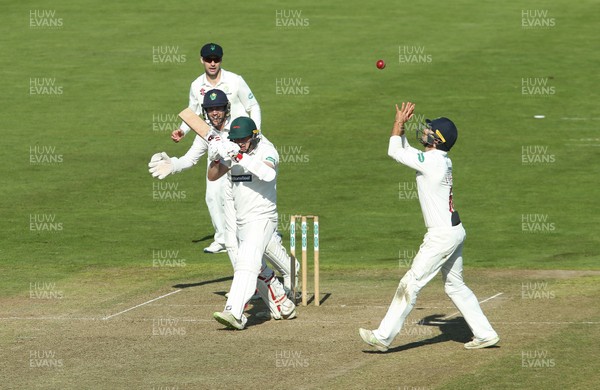 250918 - Glamorgan v Leicestershire, Supersavers County Championship Division 2 - Jeremy Lawlor of Glamorgan catches Callum Parkinson of Leicestershire off the bowling of Kieran Bull of Glamorgan