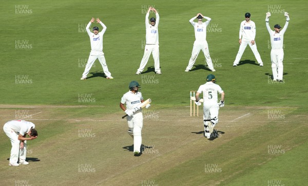 250918 - Glamorgan v Leicestershire, Supersavers County Championship Division 2 - Glamorgan players and bowler Michael Hogan of Glamorgan react after their appeal for the wicket of Ben Mike of Leicestershire is denied