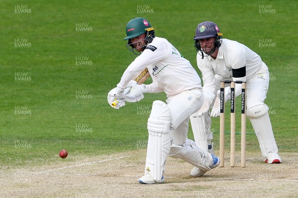 260426 - Glamorgan v Leicestershire - Rothesay County Championship - Jonny Tattersall of Leicestershire batting