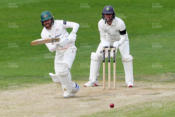 260426 - Glamorgan v Leicestershire - Rothesay County Championship - Jonny Tattersall of Leicestershire batting