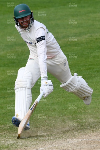 260426 - Glamorgan v Leicestershire - Rothesay County Championship - Jonny Tattersall of Leicestershire batting