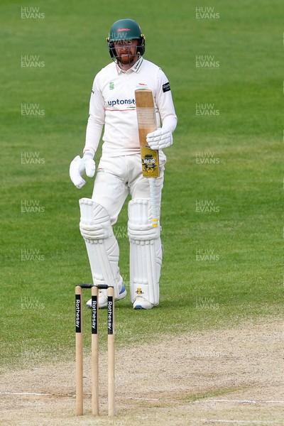 260426 - Glamorgan v Leicestershire - Rothesay County Championship - Jonny Tattersall of Leicestershire hits 50