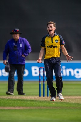 260825 - Glamorgan v Leicestershire - Metro Bank One Day Cup - Andy Gorvin of Glamorgan CCC celebrates the wicket of Sol Budinger of Leicestershire CCC