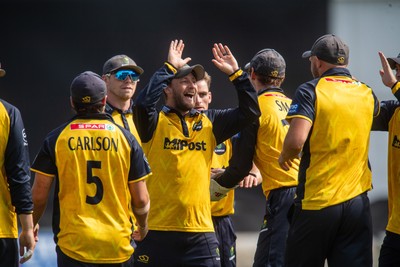 260825 - Glamorgan v Leicestershire - Metro Bank One Day Cup - Glamorgan players celebrate the wicket of Sol Budinger of Leicestershire CCC