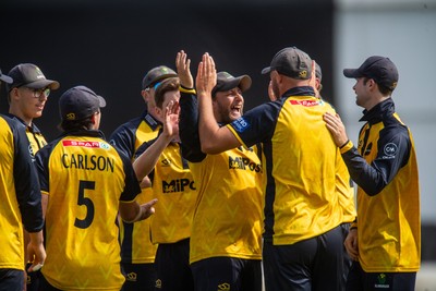260825 - Glamorgan v Leicestershire - Metro Bank One Day Cup - Glamorgan players celebrate the wicket of Sol Budinger of Leicestershire CCC