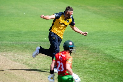260825 - Glamorgan v Leicestershire - Metro Bank One Day Cup - Tom Horton of Glamorgan CCC celebrates the wicket of Lewis Hill of Leicestershire CCC