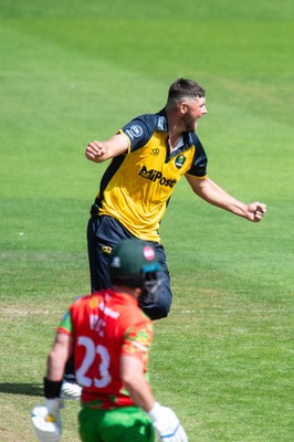 260825 - Glamorgan v Leicestershire - Metro Bank One Day Cup - Tom Horton of Glamorgan CCC celebrates the wicket of Lewis Hill of Leicestershire CCC