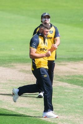 260825 - Glamorgan v Leicestershire - Metro Bank One Day Cup - Tom Horton of Glamorgan CCC celebrates the wicket of Lewis Hill of Leicestershire CCC