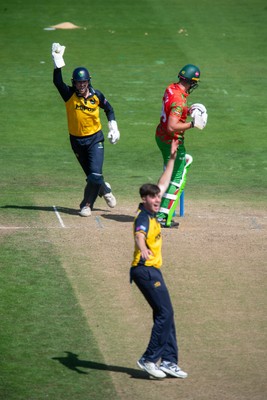 260825 - Glamorgan v Leicestershire - Metro Bank One Day Cup - Will Smale of Glamorgan CCC appeals for a catch off the bowling of Romano Franco of Glamorgan CCC