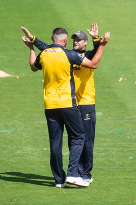260825 - Glamorgan v Leicestershire - Metro Bank One Day Cup - Tom Horton of Glamorgan CCC celebrates a wicket with Billy Root of Glamorgan CCC