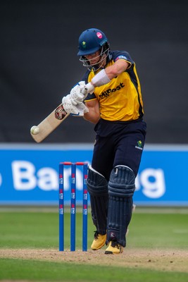260825 - Glamorgan v Leicestershire - Metro Bank One Day Cup - Asa Tribe of Glamorgan CCC