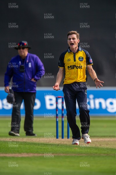 260825 - Glamorgan v Leicestershire - Metro Bank One Day Cup - Andy Gorvin of Glamorgan CCC celebrates the wicket of Sol Budinger of Leicestershire CCC