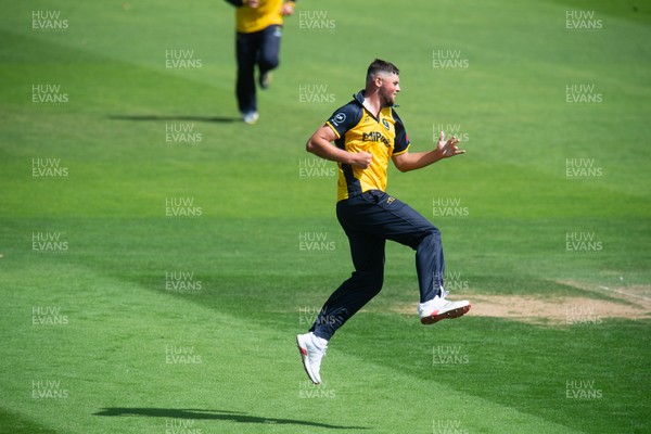 260825 - Glamorgan v Leicestershire - Metro Bank One Day Cup - Tom Horton of Glamorgan CCC celebrates the wicket of Lewis Hill of Leicestershire CCC
