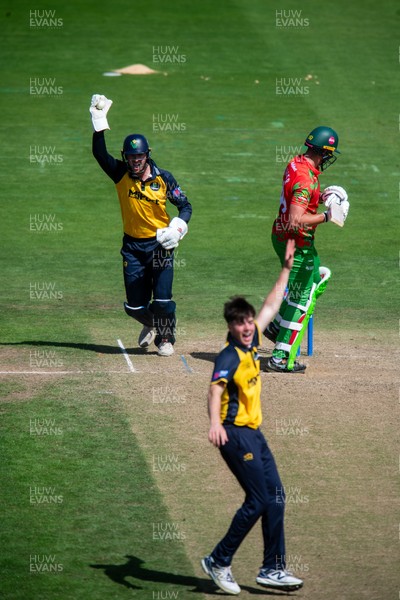 260825 - Glamorgan v Leicestershire - Metro Bank One Day Cup - Will Smale of Glamorgan CCC appeals for a catch off the bowling of Romano Franco of Glamorgan CCC