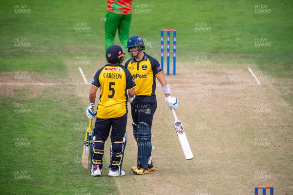 260825 - Glamorgan v Leicestershire - Metro Bank One Day Cup - Asa Tribe of Glamorgan CCC celebrates his fifty